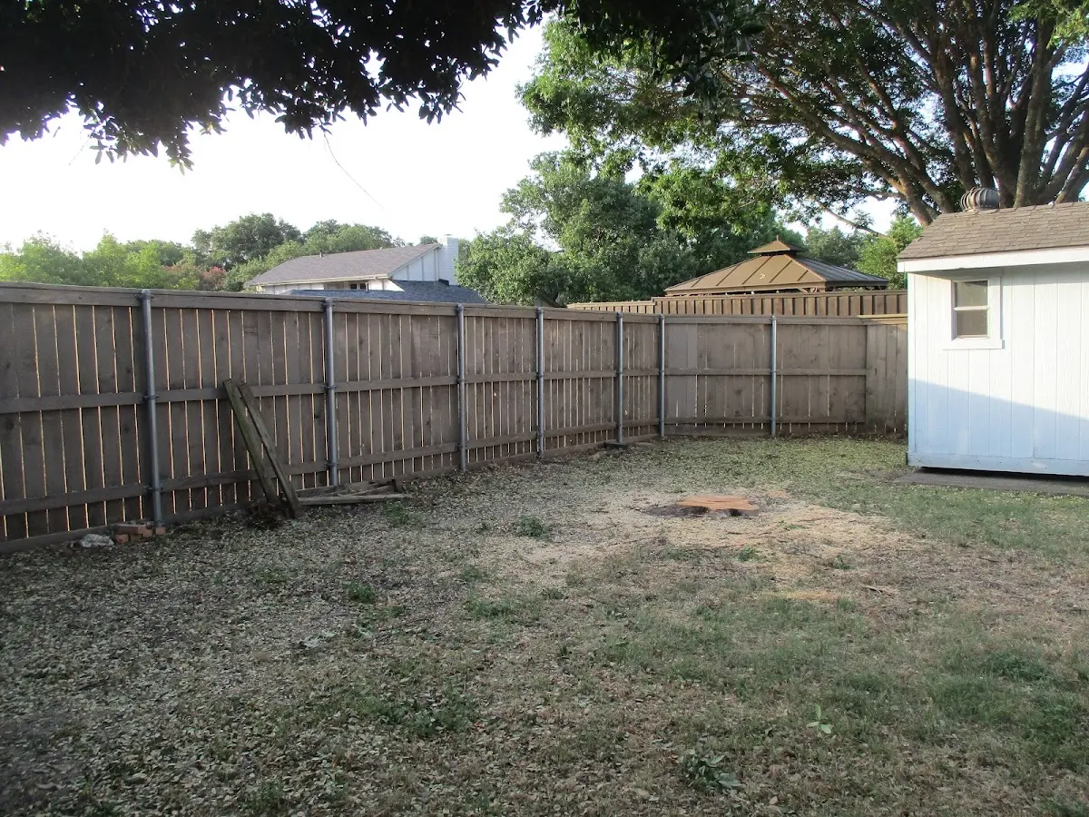 Cleared yard after professional tree removal in Ravensdale